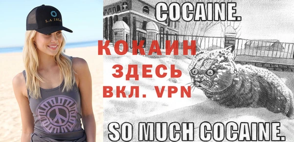гидра Пролетарск