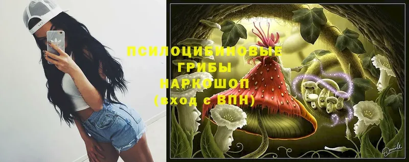 Галлюциногенные грибы Cubensis Белёв
